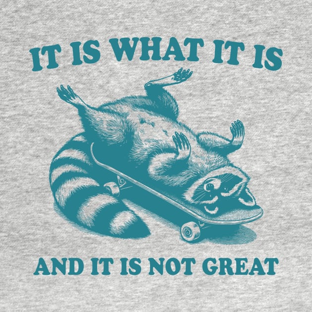 It Is What It Is And Its Not Great Funny Raccoon Meme by Visual Vibes